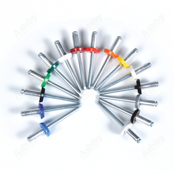 Polytop Coloured Rivet - Selection Case - 48mm x 12mm | Ashby™ Trade ...